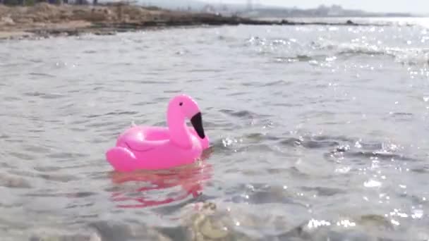 O círculo flamingo rosa inflável flutua no mar — Vídeo de Stock