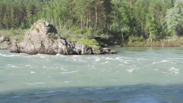 Berg rivier katun — Stockvideo