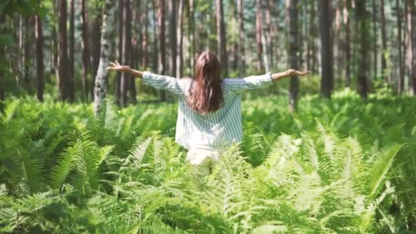 Bom dia. Uma jovem está meditando na floresta entre samambaias . — Vídeo de Stock