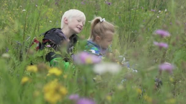 一个金发男孩在田野里亲吻他的妹妹 — 图库视频影像