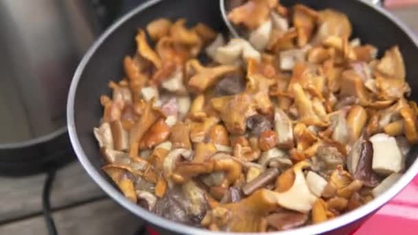 Close-up van geassorteerde champignons gebakken in een koekepan. — Stockvideo