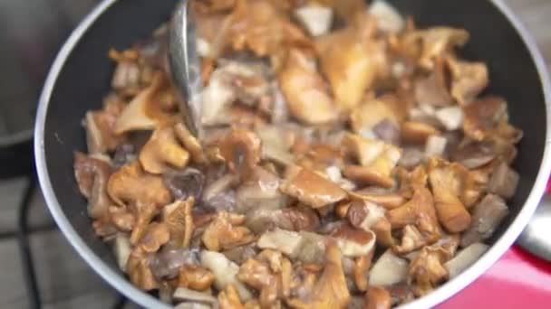 Закрыть свежие грибы в сковороде — стоковое видео