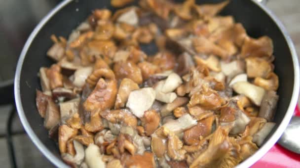 Крупный план свежих грибов на сковородке — стоковое видео