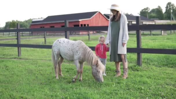 Mère avec sa petite fille caressant un poney mignon sur une ferme — Video