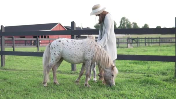 美丽的女人与她的小女儿在农场抚摸一个斑点小马 — 图库视频影像