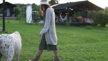 Güzel benekli midilli okşayarak kadın 