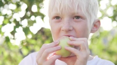 Güzel sarışın çocuk gün batımı arka planda bahçede bir elma yeme