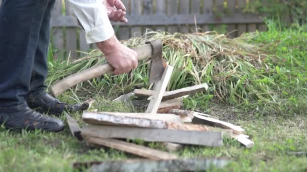 Seorang pria menusuk kayu bakar di taman dengan kapak — Stok Video