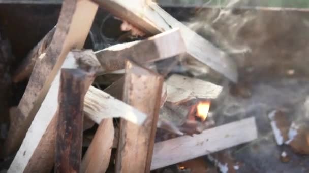 Firewood burns in the grill — Stock Video