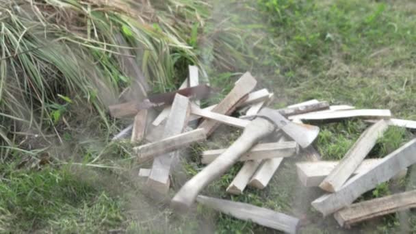 Gehakte brandhout en een bijl liggen op het gras. — Stockvideo