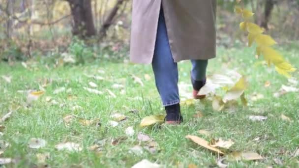 Жінка в плащі йде через осінній ліс . — стокове відео