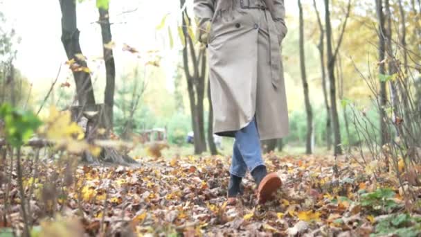 Kvinna på promenad genom höstskogen. — Stockvideo