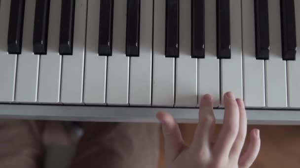 Kinderhand spielt Klavier — Stockvideo