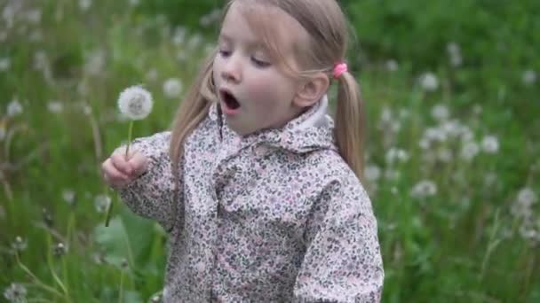 Ein schönes kleines Mädchen spielt bei einem Spaziergang mit der Farbe Löwenzahn. — Stockvideo