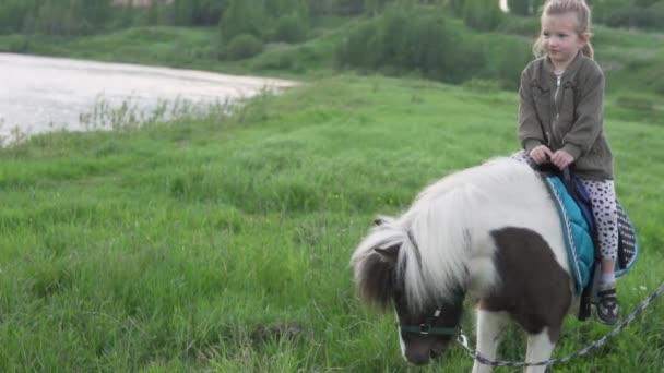 Vacker liten flicka på häst promenad på gården — Stockvideo