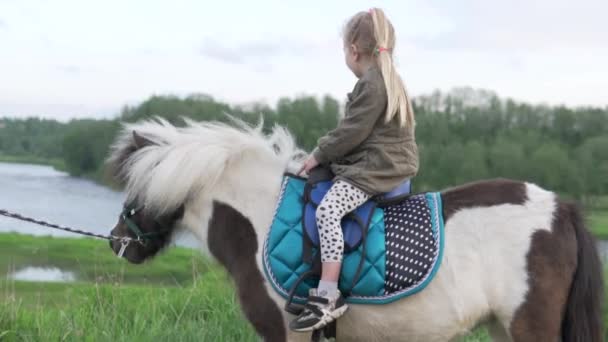 Ryska lilla flicka lär sig att rida en ponny i ett fält vid solnedgången — Stockvideo