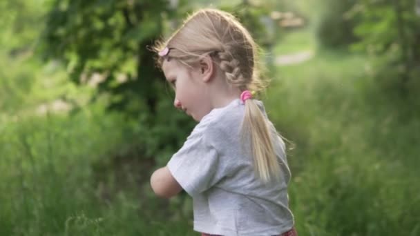 Uma linda menina mostra uma aula de gestos ao pôr-do-sol no parque no verão . — Vídeo de Stock