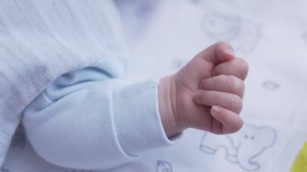 カムに刻まれた新生児の小さなペンのクローズアップ — ストック動画