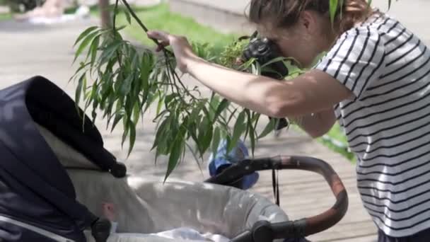 Femme prend des photos d'un nouveau-né dans une poussette — Video