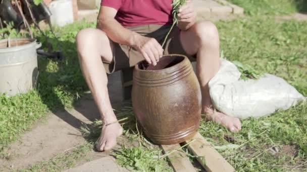 A man peels leaves from the stem of Ivan Chai plants to make tea at home — Stock Video