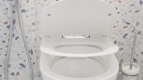 The lid and the seat on the toilet with the door, itself slowly closes — Stock Video