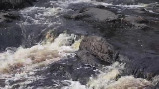 Ένας μικρός καταρράκτης σε ένα ποτάμι στη Δημοκρατία της Καρελίας, Ρωσία — Αρχείο Βίντεο