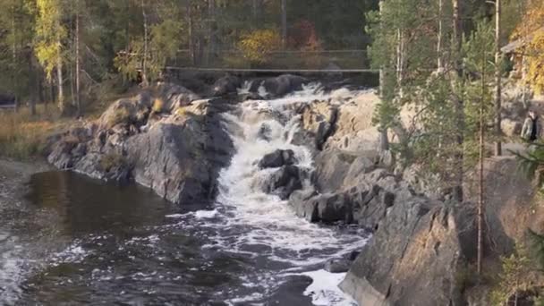 Piękny widok na park w Karelii, Rosja, — Wideo stockowe