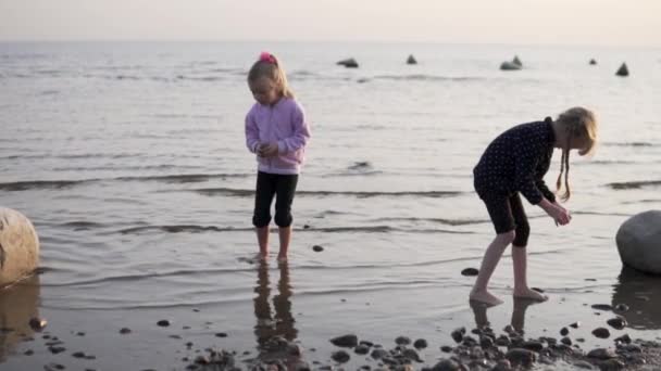 Две маленькие девочки собирают ракушки на пляже у моря на закате — стоковое видео