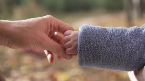 Eine Nahaufnahme der Frauenhand streicht über den Griff des kleinen Babys — Stockvideo