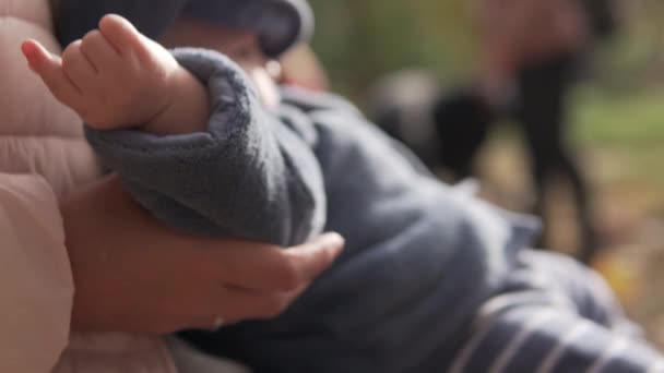 Uma mãe segura um bebezinho nos braços durante uma caminhada — Vídeo de Stock