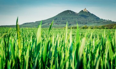 Çek eski kale Bezdez güneşli bir gün