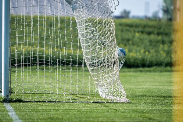 Grees 草にゴールにサッカー ボール — ストック写真