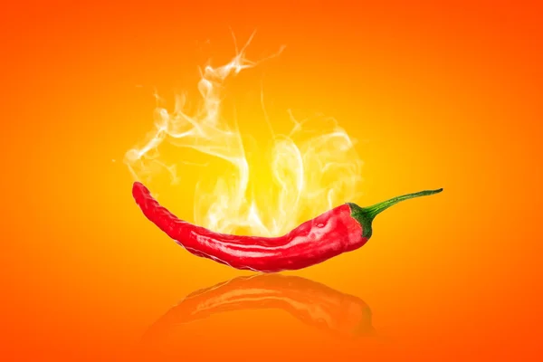 Egyetlen Piros Chili Paprika Fehér Füst Narancssárga Háttér — Stock Fotó