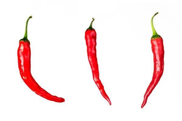 Tres Pedazos Chiles Rojos Aislados Sobre Fondo Blanco — Foto de Stock