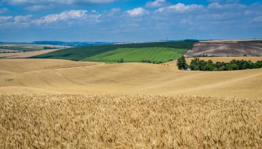 Moravyalı Toskana manzara, south Moravia, Çek Cumhuriyeti