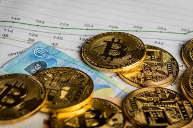 Kripto para kağıt para Bitcoin ve Euro altın sikke