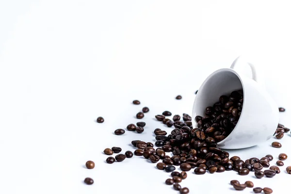 白のコーヒー豆とカップ — ストック写真