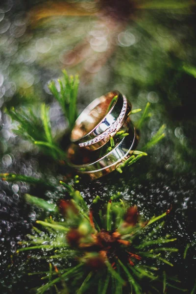 Beautiful Jewel Wedding Rings Closeup Macro Photography Stock Photo