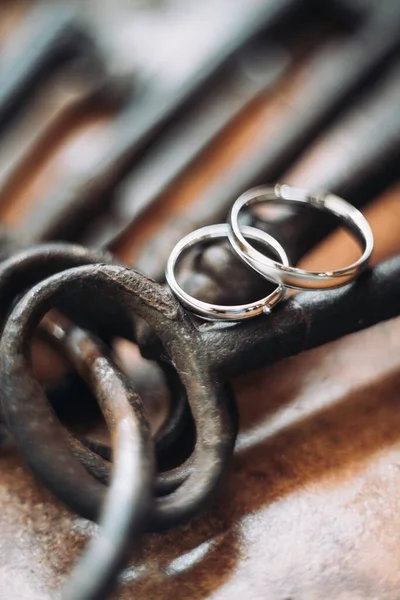 Beautiful Jewel Wedding Rings Closeup Macro Photography — Stock Photo, Image