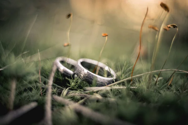 Bellissimi Gioielli Fedi Nuziali Primo Piano Macro Fotografia — Foto Stock