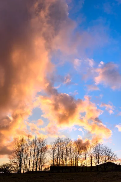 Πολύχρωμο Cloudscape Ηλιοβασίλεμα Μια Σιλουέτα Του Δέντρου — Φωτογραφία Αρχείου