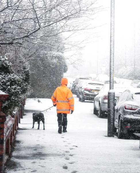 Caminhante Cães Passeando Pelas Ruas Desfrutando Temporada Inverno — Fotografia de Stock