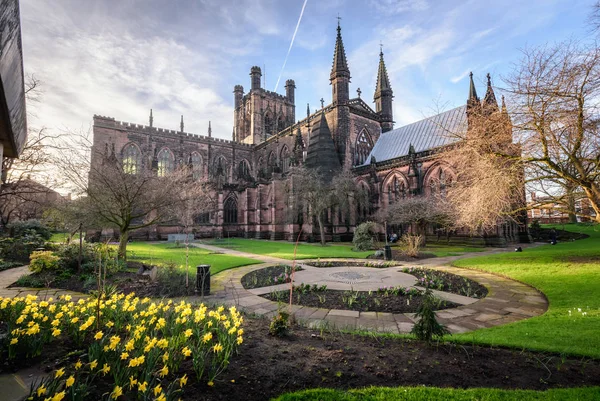 Fioritura Dei Fiori Primaverili Nel Giardino Della Cattedrale Chester Città — Foto Stock