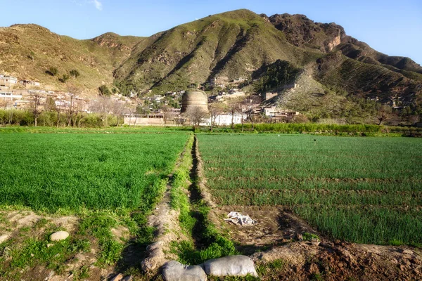 Den Stupa Shingardar Ligger 3Km Till Nordost Brikot Village Swat — Stockfoto