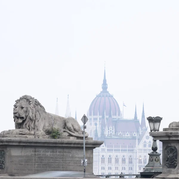 Lejonstaty Chain Bridge Budapest Donau — Stockfoto