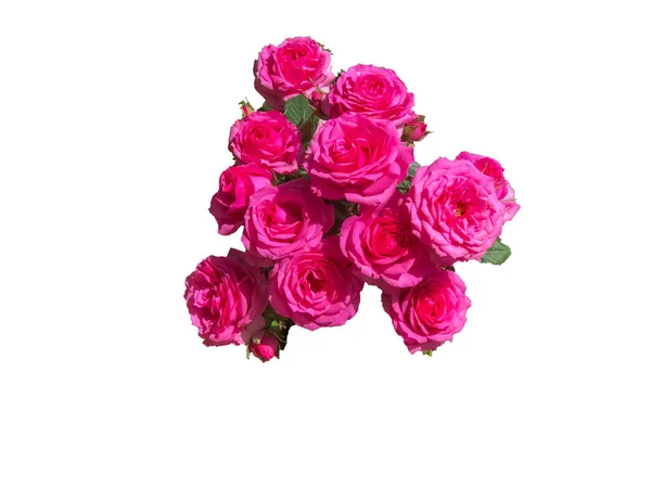 Μπουκέτο Ροζ Τριαντάφυλλα Που Απομονώνονται Λευκό Φόντο Αντιγραφή Χώρου Προσομοίωση — Φωτογραφία Αρχείου