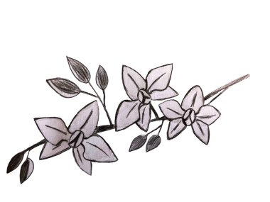 Orkide dalları beyaz arka planda çiçek açar. Kalem çizimi. Tekstil, ambalaj, kumaş, kartpostal tasarımı