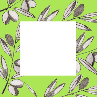 Yeşil çerçeveli zeytin dalları, yapraklar ve zeytinler. Kalem el çizimi. tasarım elemanı. paketleme tasarımı