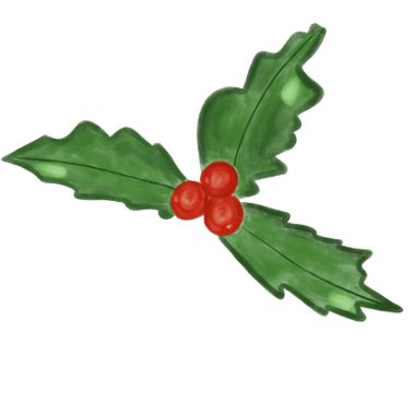 Suluboya ökseotu. Beyaz arka planda izole edilmiş kutsal yapraklar ve meyveler. Etiket, kırtasiye, sabıka izi ve tasarım