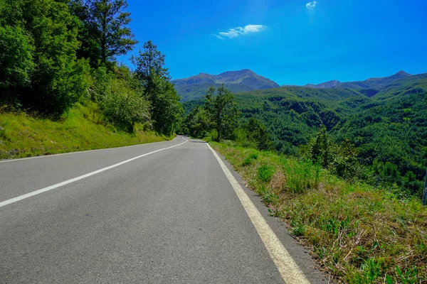 Yeşil orman ve mavi gökyüzü boyunca dağlara giden yol. Uzayı kopyala Ulaşım, seyahat, turizm, kamp, yürüyüş konsepti. Başarı, hareket konsepti  